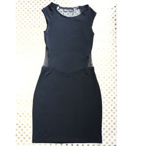 Elizabeth and James Mesh Dress